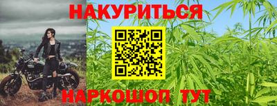 прущие крисы Малгобек