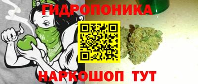 прущие крисы Малгобек